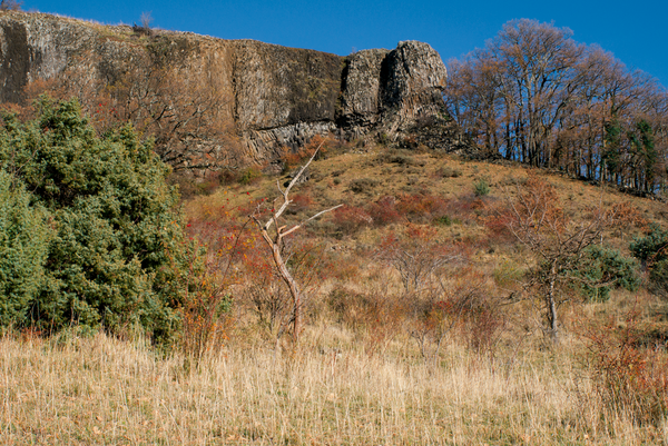 Basaltfelsen bei Mirabel