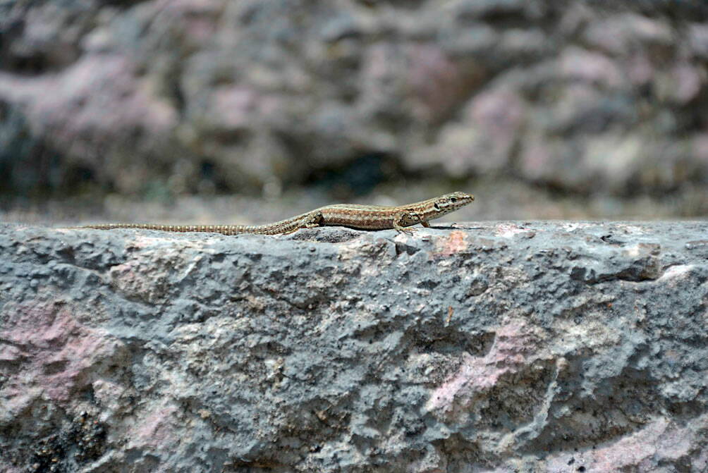 h_garten_dsc6894_w.jpg h_garten_dsc6894_w.jpg