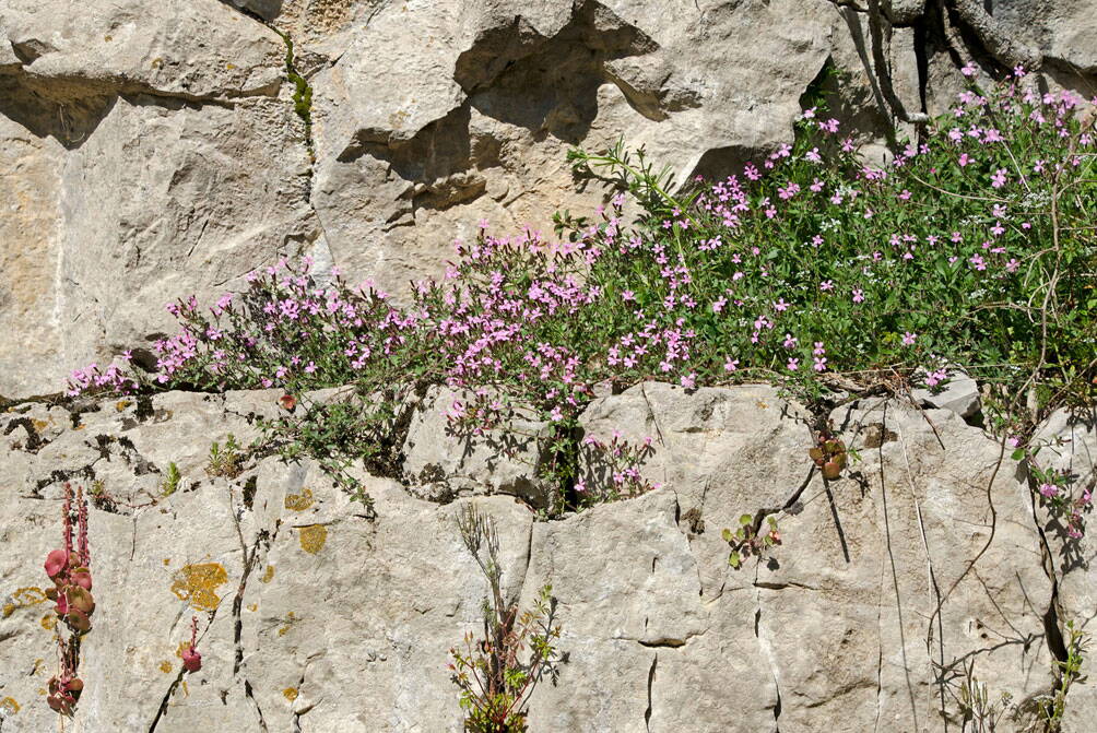 u_natur_dsc6292_w.jpg u_natur_dsc6292_w.jpg