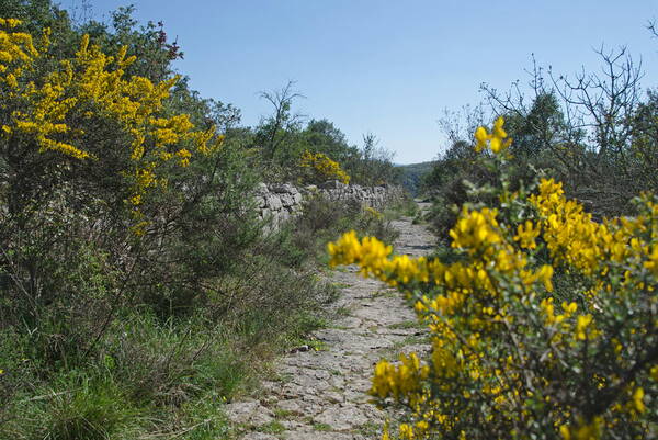 u_weg_dsc6252_w.jpg Wandern auf meist gut markierten Wanderwegen