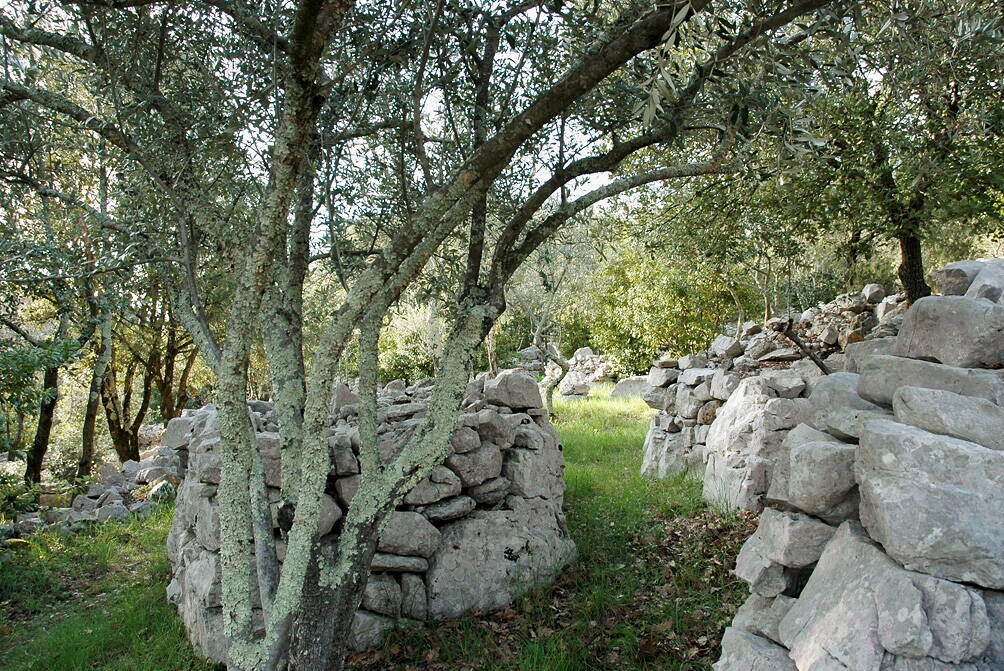 u_park_05.jpg Natur erleben im eigenen grossen Naturpark