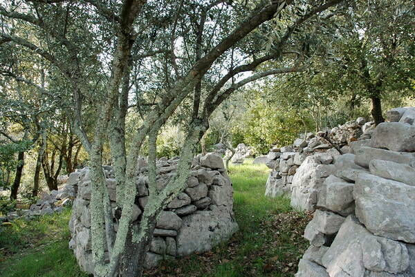 u_park_05.jpg Natur erleben im eigenen grossen Naturpark