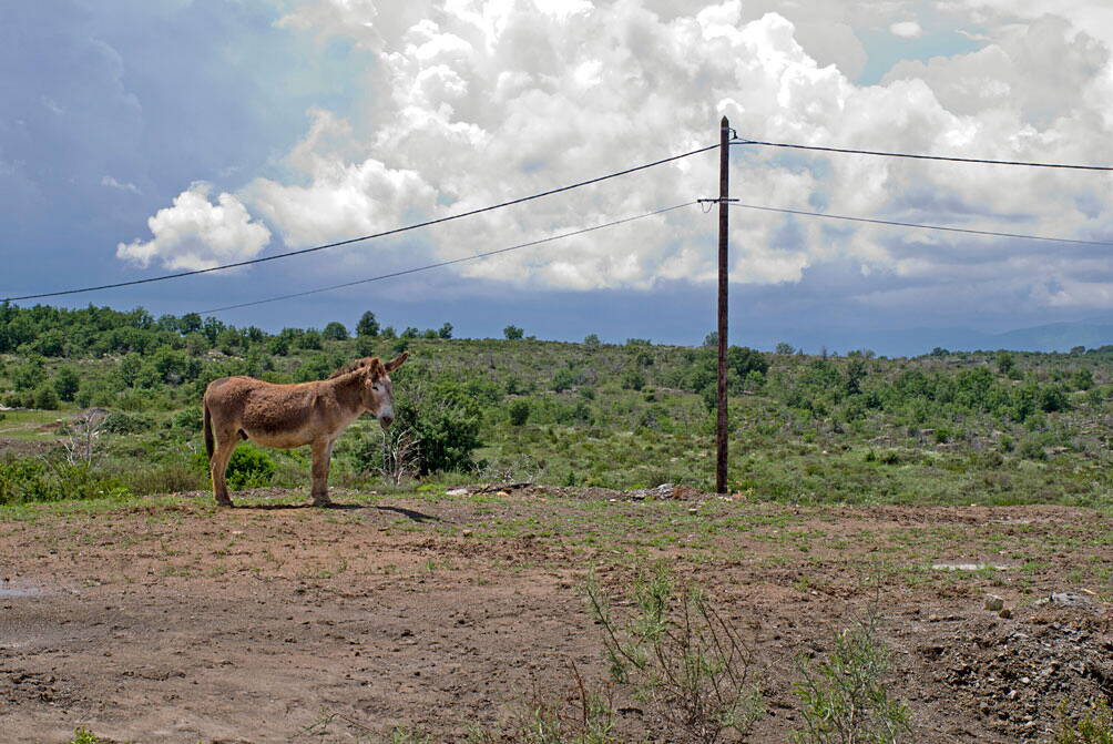 u_plateau_l1076019_w.jpg u_plateau_l1076019_w.jpg