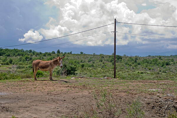 u_plateau_l1076019_w.jpg u_plateau_l1076019_w.jpg