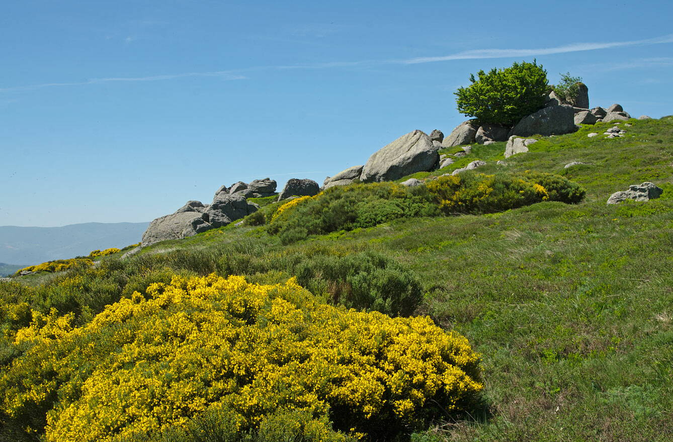 r_loubaresse_dsc8922_w.jpg Imposante Felsformationen oberhalb von Loubaresse