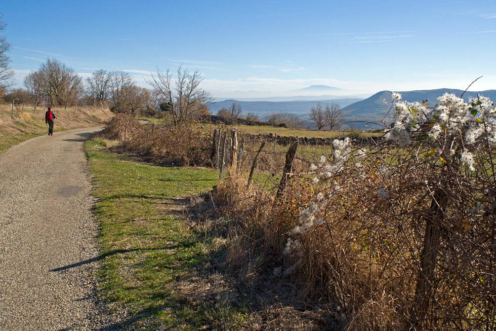 r_mirabel_ventou_l1073665_w.jpg Oberhalb Mirabel – Sicht auf den Mont Ventoux