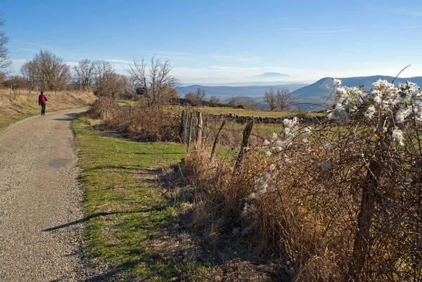 Oberhalb Mirabel – Sicht auf den Mont Ventoux 