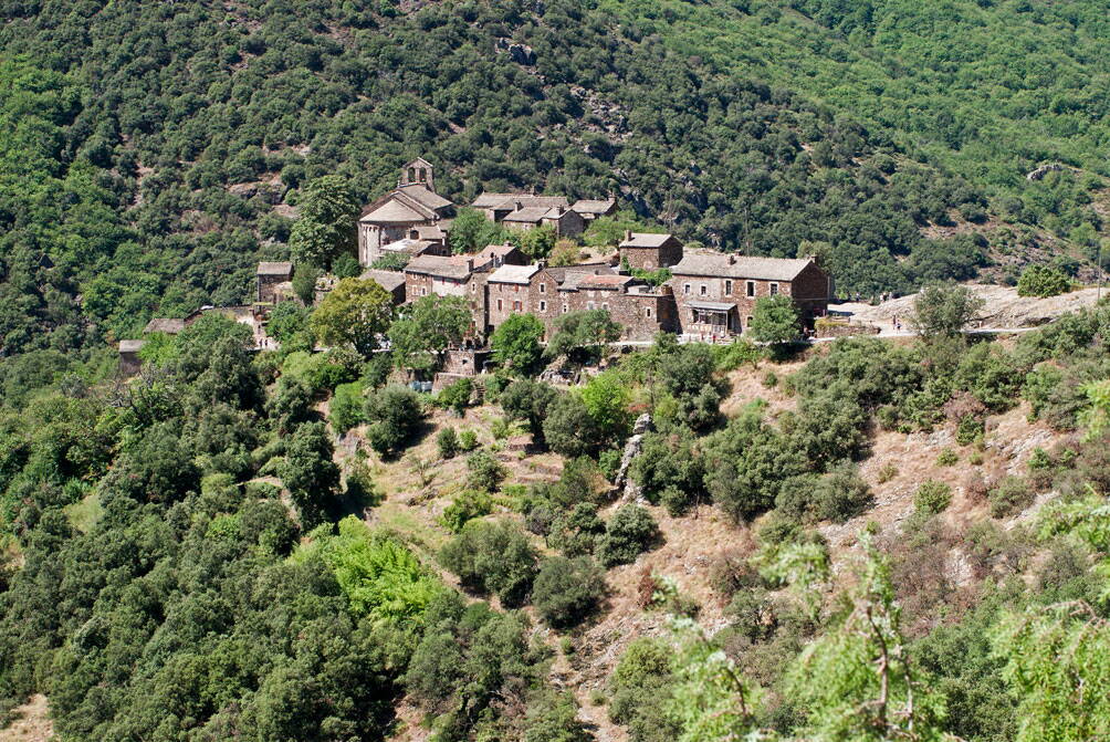 r_thines_9_w.jpg Thines