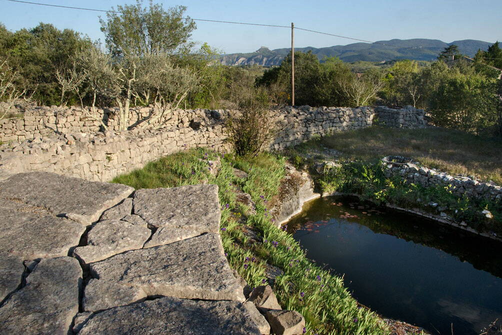 u_teich_dsc8612_w.jpg Am Teich im Naturpark
