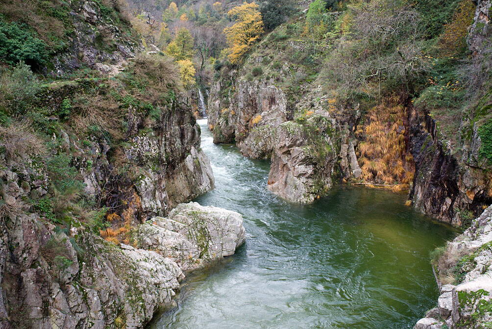 r_vals-les-bains_1076834_w.jpg Schlucht bei Vals les Bains