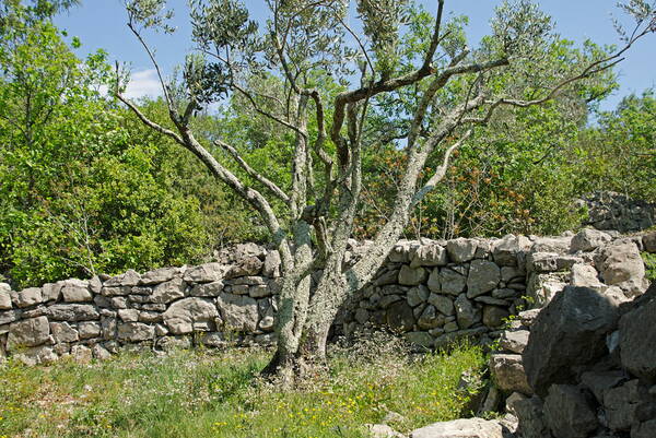 u_natur_dsc6594_w.jpg u_natur_dsc6594_w.jpg