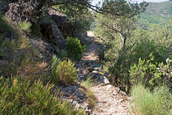 Auf dem Rundwanderweg bei Thines